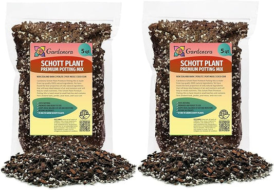 Monstera Lechleriana Schott Planting Mix - Promotes Steady Growth and Healthy Leaves - 10 Quart (2 Bags of 5 Quart)