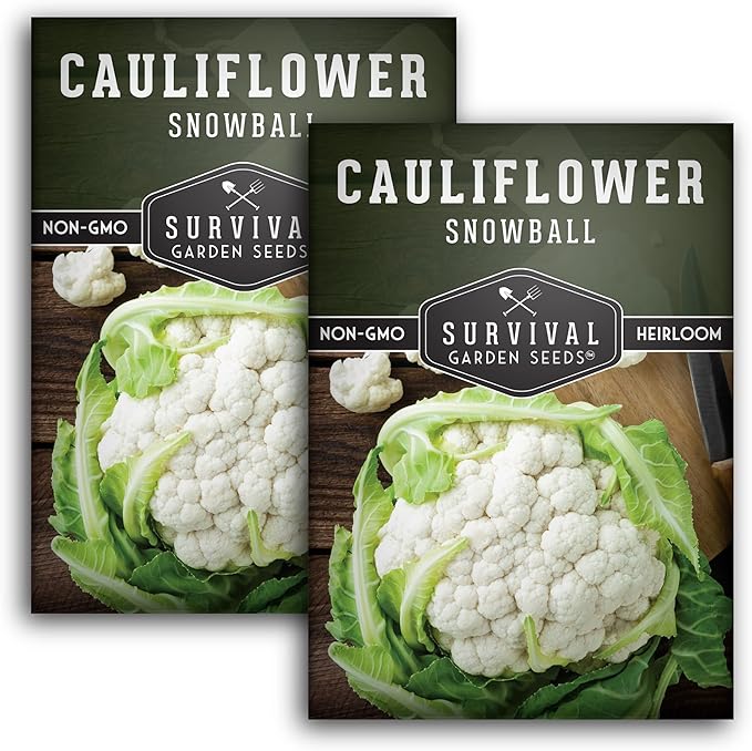 Snowball Cauliflower Seed for Planting - 2 Packets with Instructions to Plant & Grow Amazing White Vegetables in Your Home Vegetable Garden - Non-GMO Heirloom Variety - Survival Garden Seeds