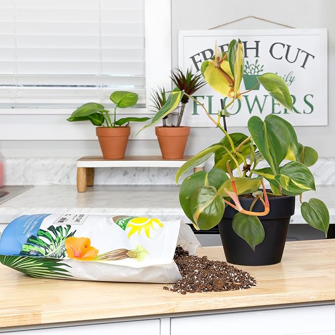 Aroid Plant Potting Soil Mix (4 Quarts), for Pothos Devil's Ivy, ZZ Plant, Chinese Evergreen, Dumb Cane, Philodendron, Syngonium, Alocasia, Colocasia Etc.
