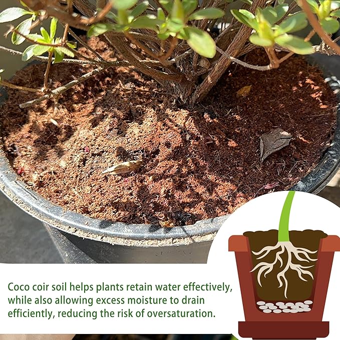 Coco Coir for Organic Coconut Coir- 24 Pack Coco Coir Brick- Coconut Soil with Low EC & pH Balance-Coco Fiber for Herbs& Flowers- High Expansion-Renewable Coco Soil for Planting