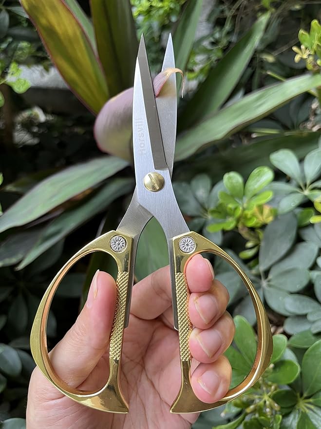 Indoor Plant Shears and Garden Scissors, Houseplant Shears Made of Japan SK5 Stainless Steel, Flowers Herbs and Plant Cutters, Clippers, Trimmers, Loppers, Bonsai Plant Pruning Scissors