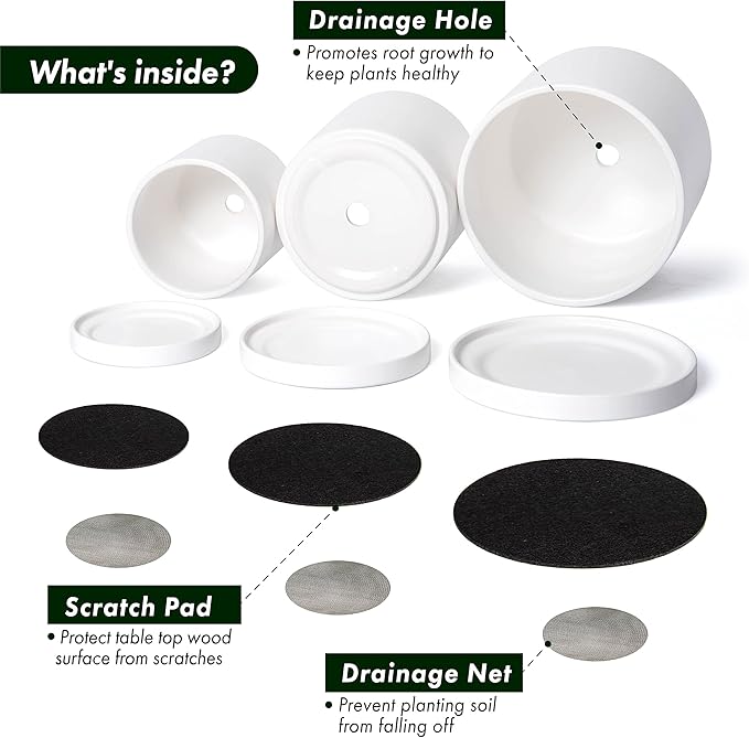 D'vine Dev White Terracotta Pots for Plants, 4.2 Inch 5.3 Inch 6.5 Inch, Succulent Planter Pot with Drainage and Saucer, 40-T-A-1