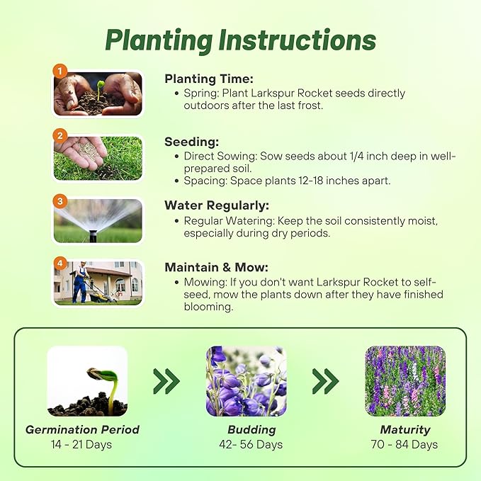 Outsidepride 1000 Seeds Delphinium Rocket Larkspur Wild Flower Seed Mix for Planting