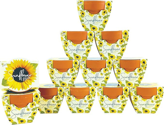 BUZZY Seeds Terracotta Mini Grow Pots | Herb, Plant, Flower Starter Kit for Kids & Adults | Assorted 12-Pack, Daydream Collection Sunflower | Guaranteed to Grow | Best Indoor Grow Your Own Plant