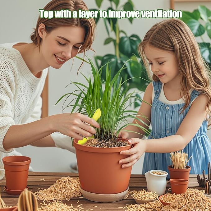 Rice Hulls for Gardening 2qt - Promote Root Development, Water Efficiency, and Disease Resistance