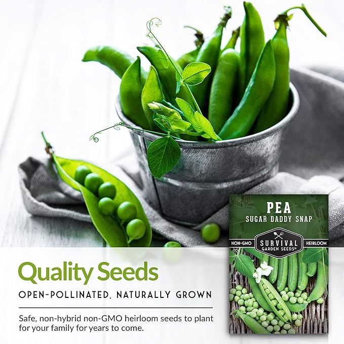 Survival Garden Seeds - Sugar Daddy Snap Pea Seed for Planting - 3 Packs with Instructions to Plant and Grow in Delicious Pea Pods Your Home Vegetable Garden - Non-GMO Heirloom Variety