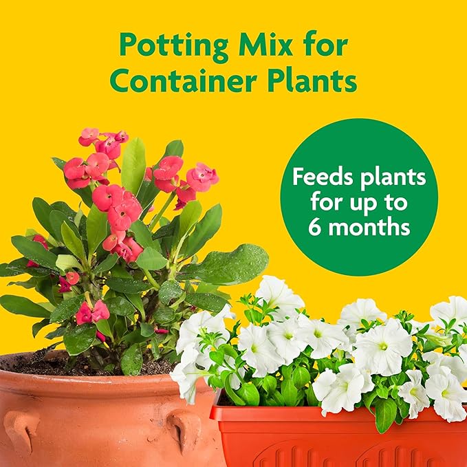 Miracle-Gro Potting Mix, For Container Plants, Flowers, Vegetables, Shrubs, Annuals, Perennials, Feeds up to 6 Months, 8 qt., 3-Pack