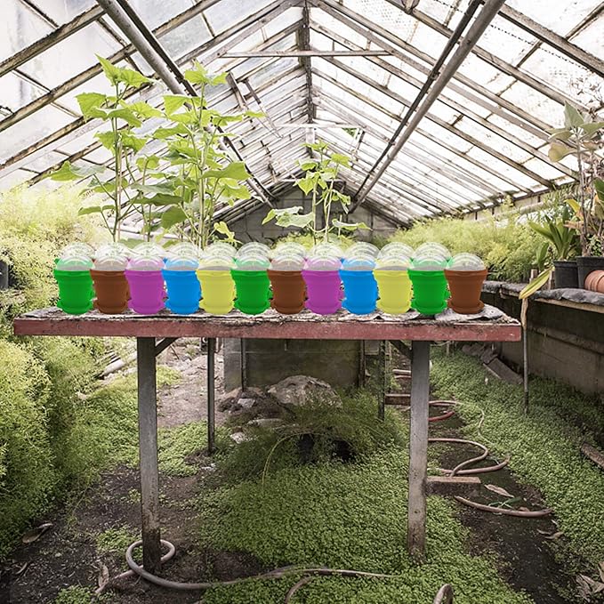 25 Packs Cupcake Plant Nursery Pots with Humidity Dome-Small Flower Pots for Kids-Planting Containers Cups for Indoor Outdoor Plant Succulent Display (Mixed Color)