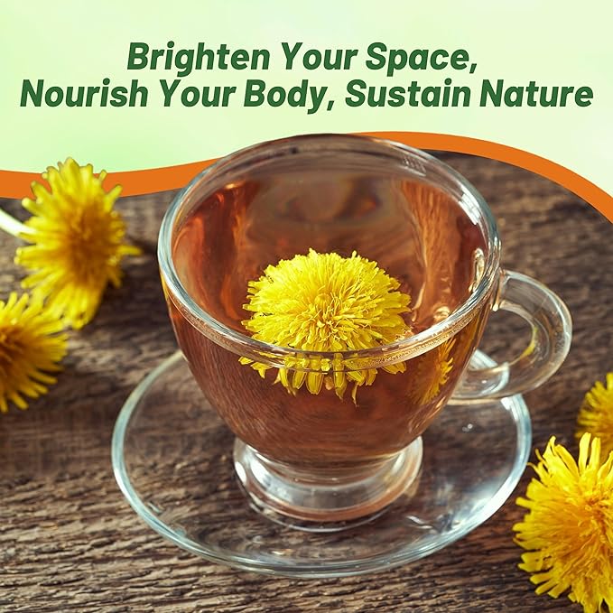 Outsidepride 10000 Seeds Perennial Taraxacum Officinale Dandelion Herb Garden Seeds for Planting