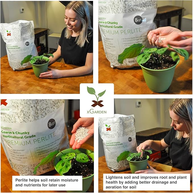 xGarden 8 Quarts Horticultural Grade Premium Perlite - Coarse and Chunky