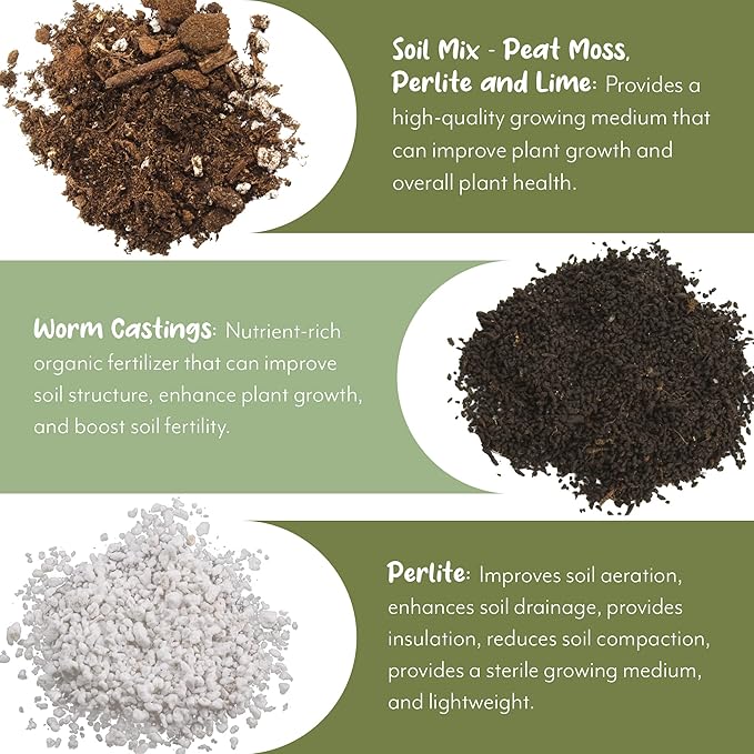 Lucky Bamboo Plant Potting Mix (4 Quarts), Custom Soil Mix for Repotting