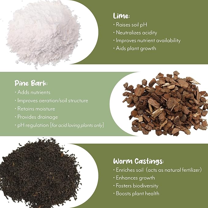 Christmas Cactus Potting Soil Mix (8 Quarts), Custom Blend for Xmas, Easter, and Thanksgiving Cactus Tropical Indoor Houseplants