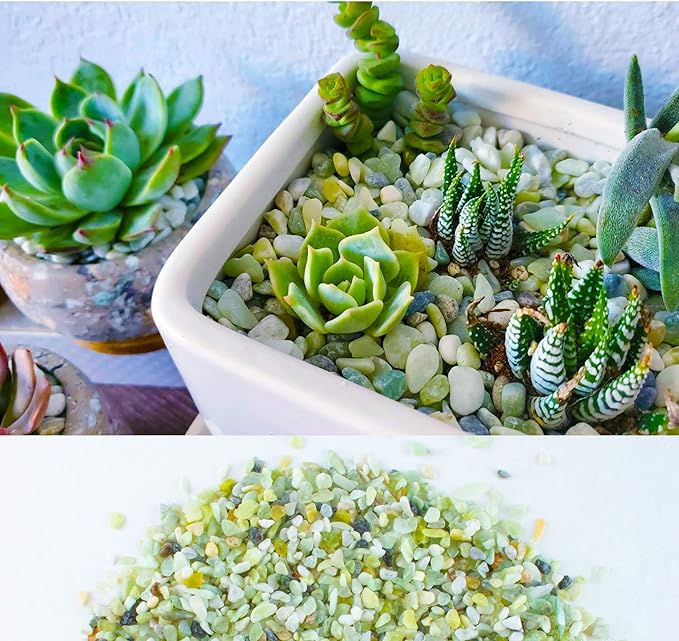 18lb Jade Bean Sand Stone-Succulents and Cactus Bonsai DIY Projects Rocks,Decorative Gravel for Plants and Vases Fillers,Fairy Gardening,Natural Stone Top Dressing for Potted Plants (5mm-8mm)