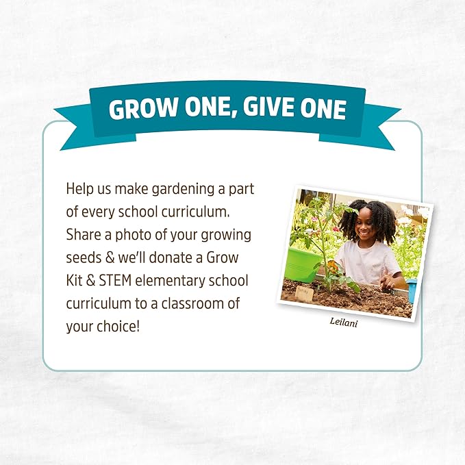 Back to the Roots Heirloom Organic, Non-GMO & USA Grown Seeds, 30ct Herb, Fruit, and Veggies, Assortment May Vary, Guaranteed to Grow