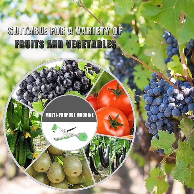 Plant Tying Machine Tool,Plant Tape Gun with 10000pcs Staples 20 Rolls Tape and Replacement Blade for Grapes,Raspberries,Tomatoes and Vining Vegetables Tying Tool(Green)