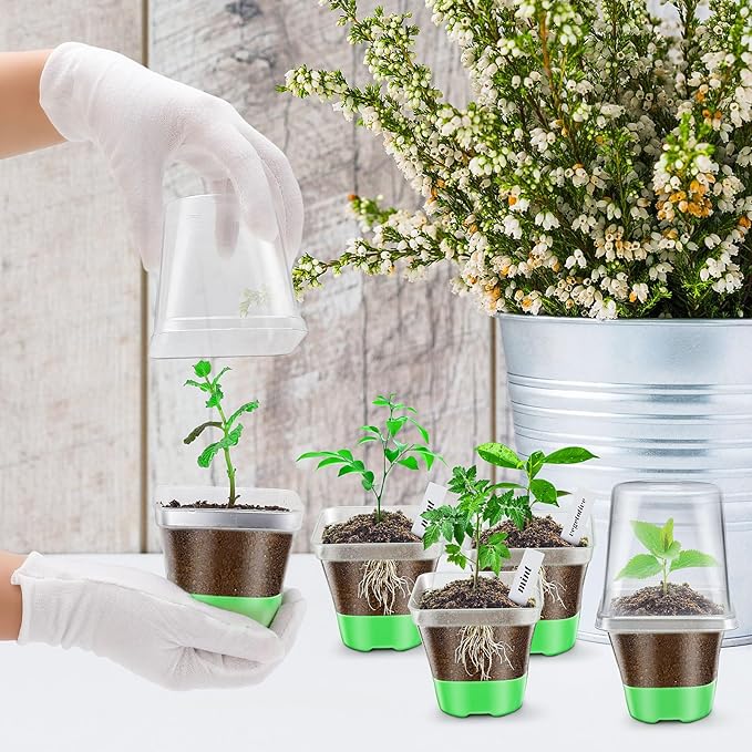 Clear Nursery Pots for Plants,30 Packs Seed Starting Pots 3.1 inch Plastic Plant Pot Seedling Pots with Drainage Holes Plant Nursery Pots with Silicone Base Seed Starting Pot