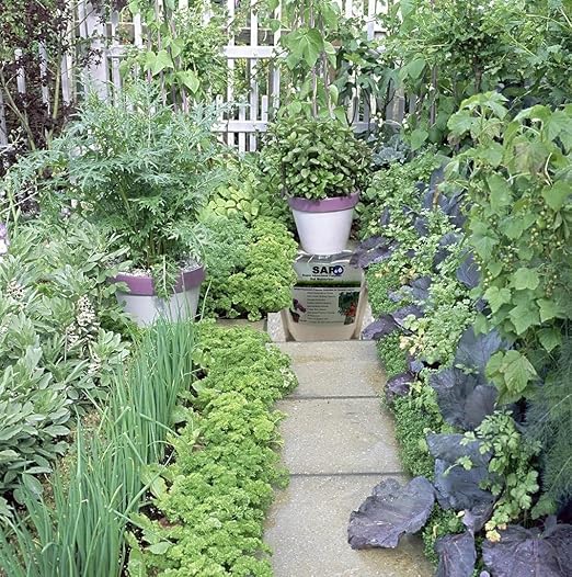 Water Storing Crystals Super Absorbent Hydro Gel Granules Polymer 1 Pound (Small Granular_20-100 mesh)