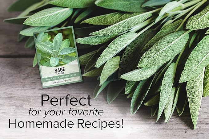 Gardeners Basics, Sage Seeds for Planting Heirloom, Non-GMO Herb Variety- Great for Indoor and Outdoor Gardening