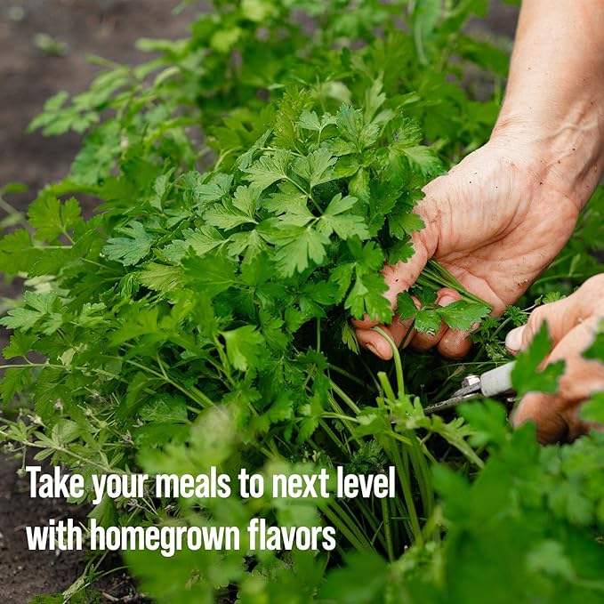 4 Herb Garden Kit with Grow Rings and Greenhouse Germination Domes – Certified Organic Herb Planter Kit – Gardening Gift for Mom, Teachers, Women, and Men – Made in USA