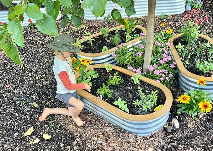 Galvanized Raised Garden Beds Outdoor // 4×2×1 ft Planter Raised Beds for Gardening, Vegetables, Flowers // Large Metal Garden Box (Silver and Light Fir) // Patented Tool-Free Design