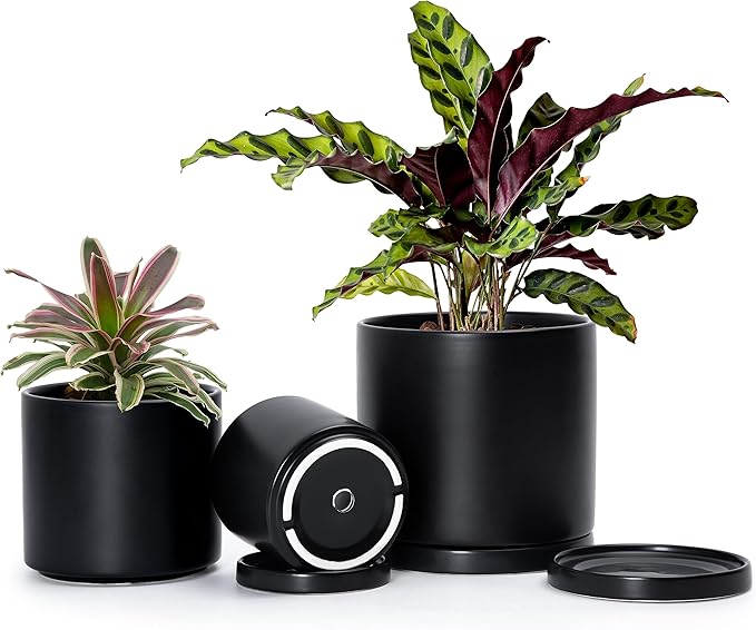 D'vine Dev Black Terracotta Pots for Plants, 4.2 Inch 5.3 Inch 6.5 Inch, Succulent Planter Pot with Drainage and Saucer, 40-T-A-2
