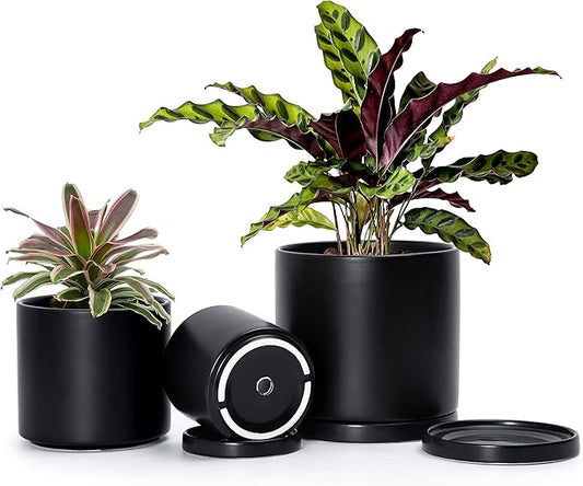 D'vine Dev Black Terracotta Pots for Plants, 4.2 Inch 5.3 Inch 6.5 Inch, Succulent Planter Pot with Drainage and Saucer, 40-T-A-2
