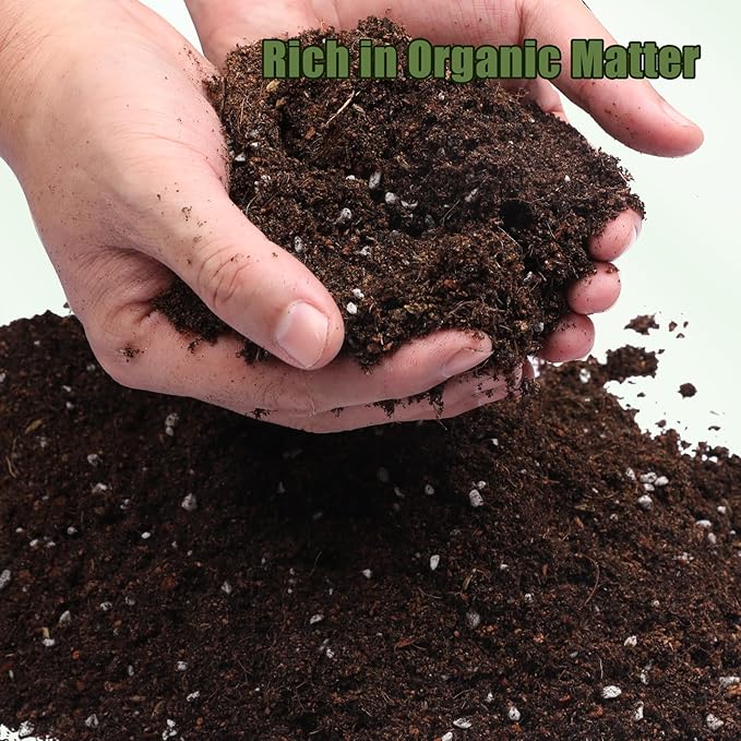 Potting Soil Mix for Fern 4qt, Custom Hand Blended Mixture Suitable for Indoor/Outdoor Potted Fern Plant