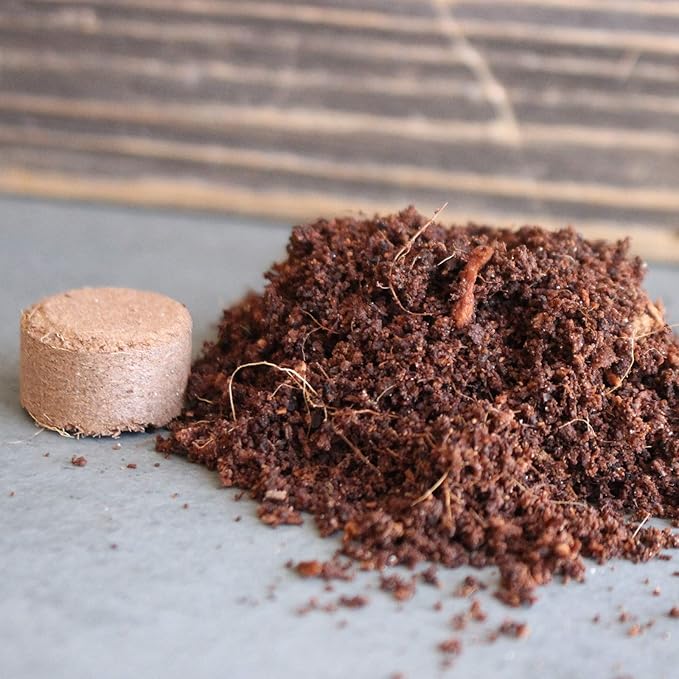 Minute Soil - Compressed Coco Coir Fiber Grow Medium - 20 MM Pellets - Bag of 100 = 5 Quarts of Potting Soil - Indoor Growing: House Plants, Herbs, Microgreens, Just Add Water - Peat Free - OMRI
