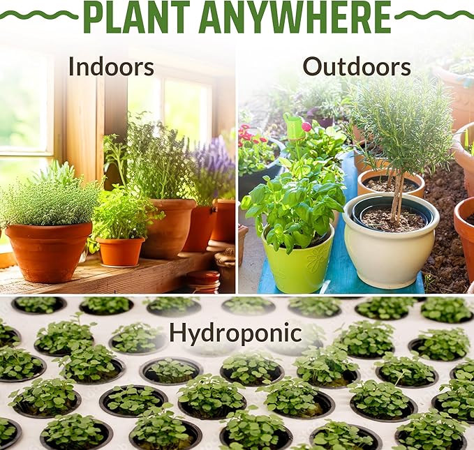 17 Herb Culinary Seed Vault - 5200+ Herbs Seeds for Planting Indoor or Outdoor Garden - Heirloom, Non GMO | Hydroponic Herb Garden Seeds with High Germination | Cilantro, Mint, Chives, Basil, Parsley