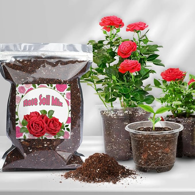 Organic Rose Soil Mix, Indoor Plants Potting Mix for All Potted Rose, Grow Healthy houseplants Indoors
