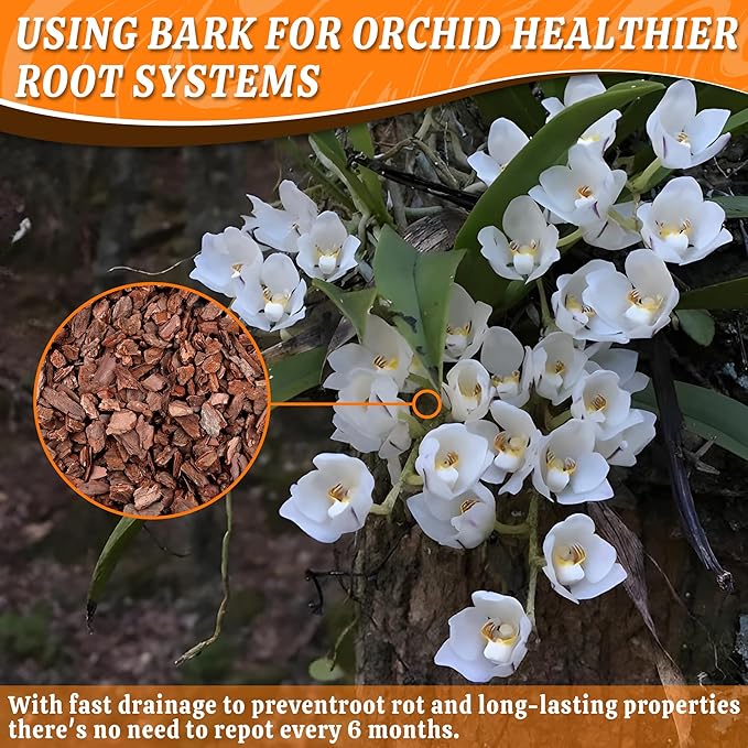 AVALUTION Orchid Potting Bark-29QT Organic Orchid Bark for Plants, All Natural Pine Bark Wood Chips for Houseplant Mulch, Orchid Plants Root Development, Mulch for Potted Plants