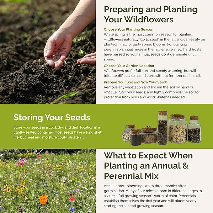 Eden Brothers New York Wildflower Mixed Seeds for Planting, 5 lbs, 2,400,000+ Seeds with Coneflower, Cosmos | Attracts Pollinators, Plant in Spring or Fall, Zones