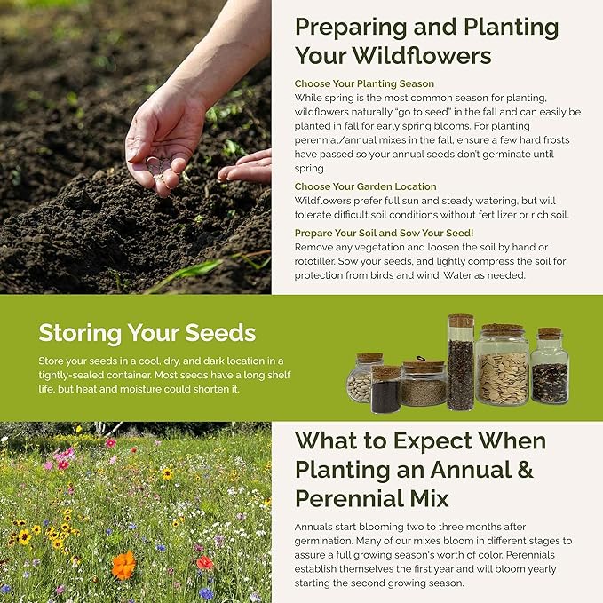 Eden Brothers Kentucky Wildflower Mixed Seeds for Planting, 1/4 lb, 120,000+ Seeds with Black Eyed Susan, Cosmos | Attracts Pollinators, Plant in Spring or Fall, Zones