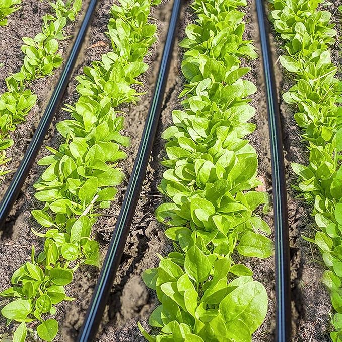 JAYEE 30 Pack Drip Irrigation Barbed Coupling Fittings (17mm) for 1/2”.600” ID Drip Tubing