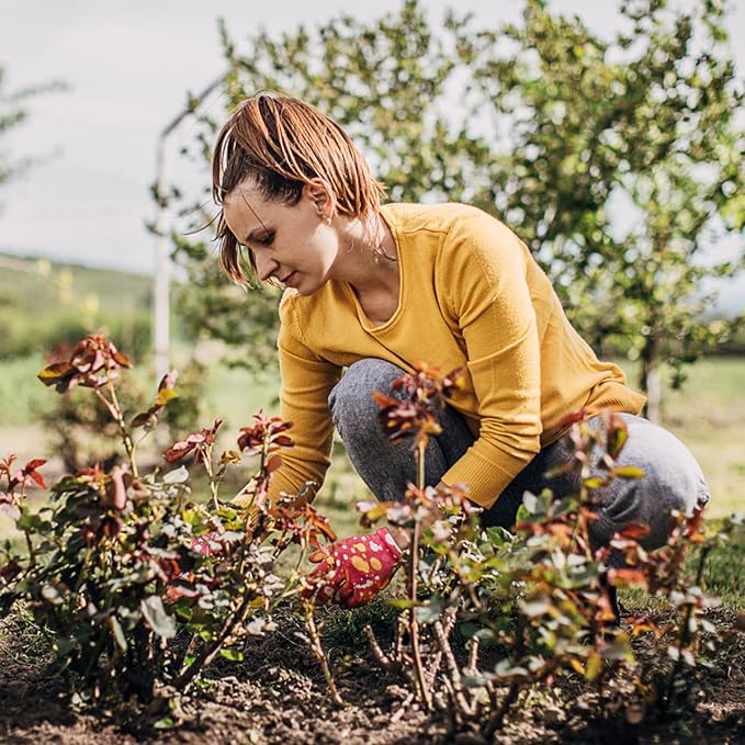 GOODSMANN Heavy Duty Garden Tools Stainless Steel Gardening Tools Set of 4 Includes Flower Garden Shovel Hand Trowel Weeding Cultivator with Wooden Handle and Garden Pruning Shears for Women/Men