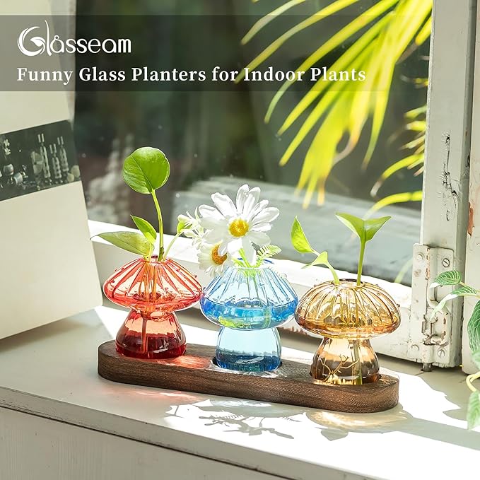 Glasseam Mushroom Plant Propagation Station: Glass Plant Terrarium Jar with Wood Stand Unique Hydroponic Planters for Indoor Plants Cute Propagation Vase for Plant Lovers Home Office Decor 3Pcs