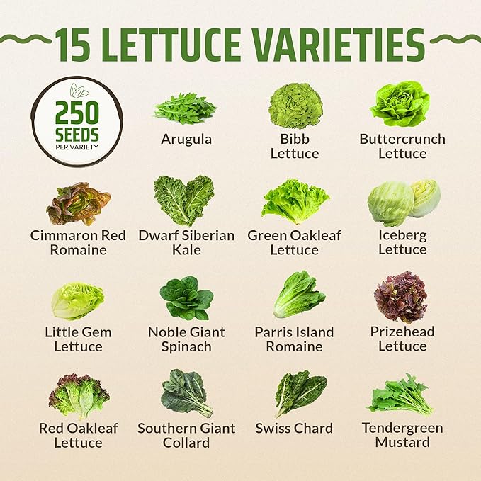 Rooted Acre 15 Lettuce & Green Seeds Pack | Non-GMO Heirloom Seeds | Garden Salad Greens Seeds | Hydroponic Vegetable Seeds for Planting Indoor | Romaine, Kale, Spinach, Arugula, & Butter Lettuce Seed