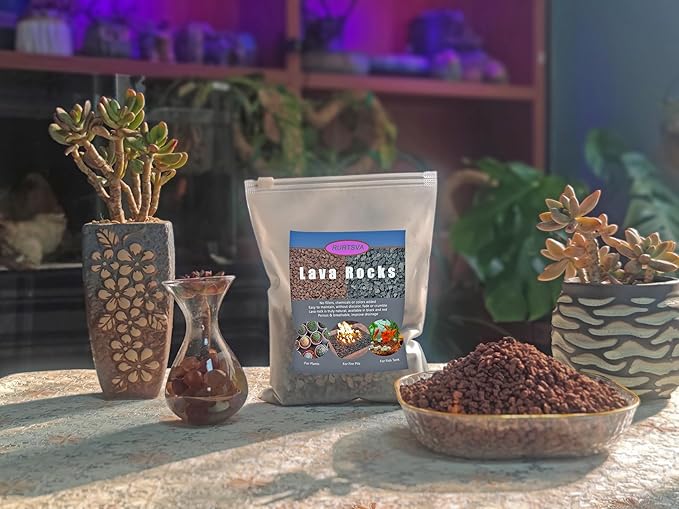 Lava Rocks for Plants, 5lbs Volcanic Stones Gravel Horticultural Drainage Potting Soil for Indoor Outdoor Plants, Succulents, Bonsai, Cactus, Vase Fillers, Top Dressing (5LBS, RED, 1)
