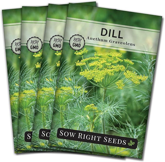 Sow Right Seeds - Dill Seed for Planting - Non-GMO Heirloom Packet with Instructions to Plant and Grow Herb Garden - Indoors or Outdoors - Homemade Dill Pickles - Wonderful Companion Plant (4)