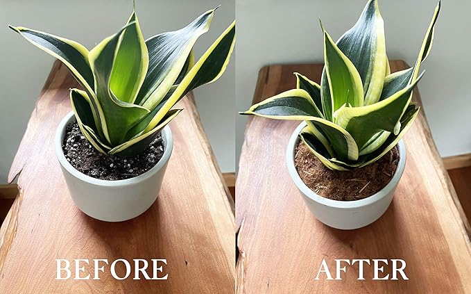 Urban Thumb and Co Ultra Fine Garden Plant Mulch - Top Cover for Indoor / Outdoor Potted House Plants - Compact Size,Potting Mix for Urban Plant Lovers- 3.25 Quarts