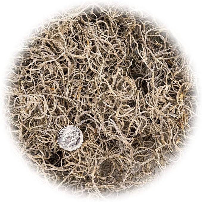 Premium Natural Spanish Moss | Natural Preserved - Great Ground Cover - Filler for Potted Plants - by GARDENERA - 1 Quart Bag