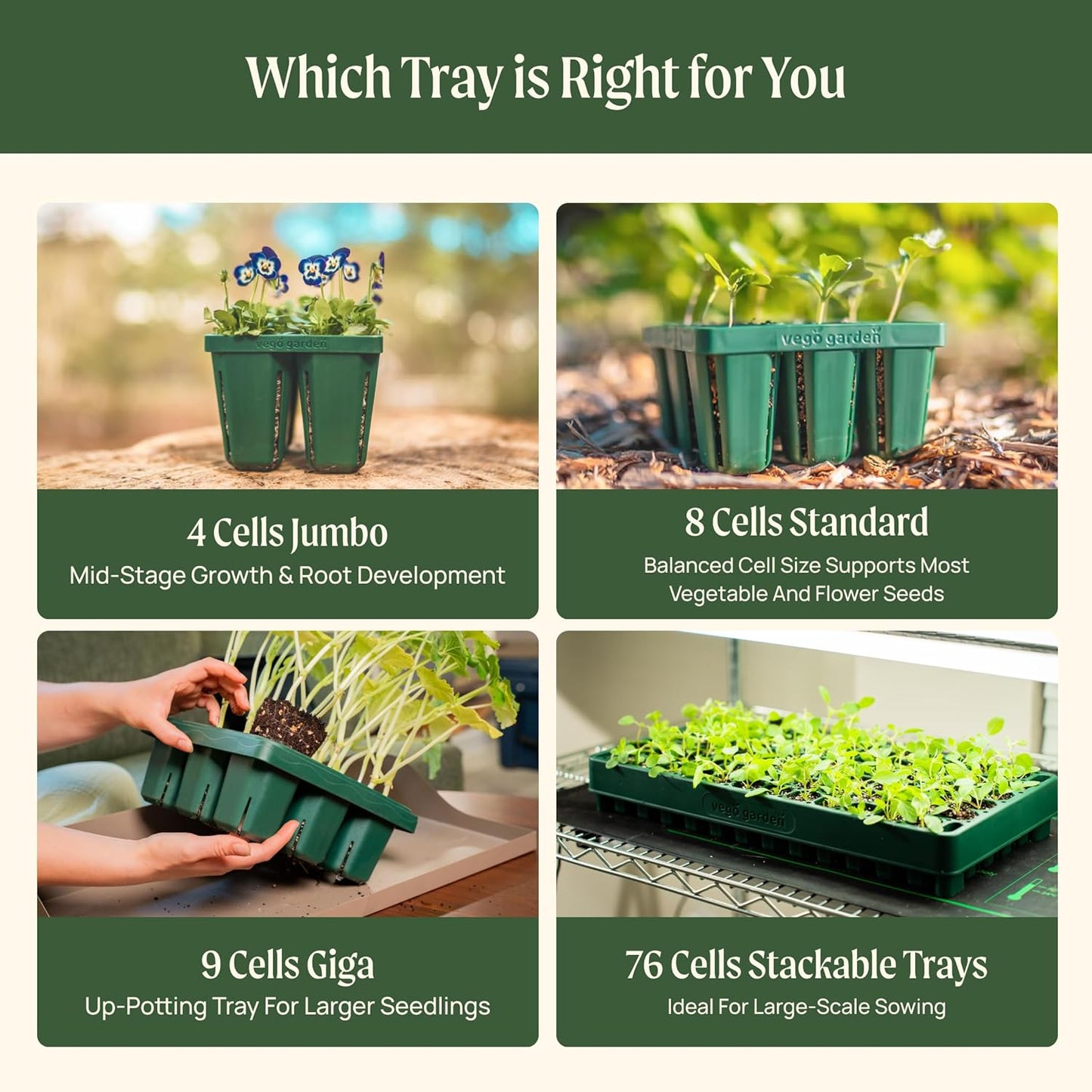 Vego garden Standard Seedling Trays Without Lids, 8 Pack for Seedlings Reusable Propagator Growing Starter Tray, Germination Trays Kit for Greenhouse/Garden (8-Cell per Tray)