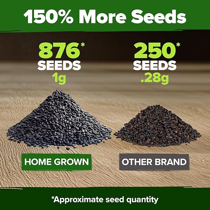 HOME GROWN Thai Basil Seeds Pack - 876 High Germination Non-GMO Heirloom Herb Seeds for Planting, Ideal for Growing Fresh Basil Planting Indoor or Outdoor (Ocimum basilicum VAR. thyrsiflora)