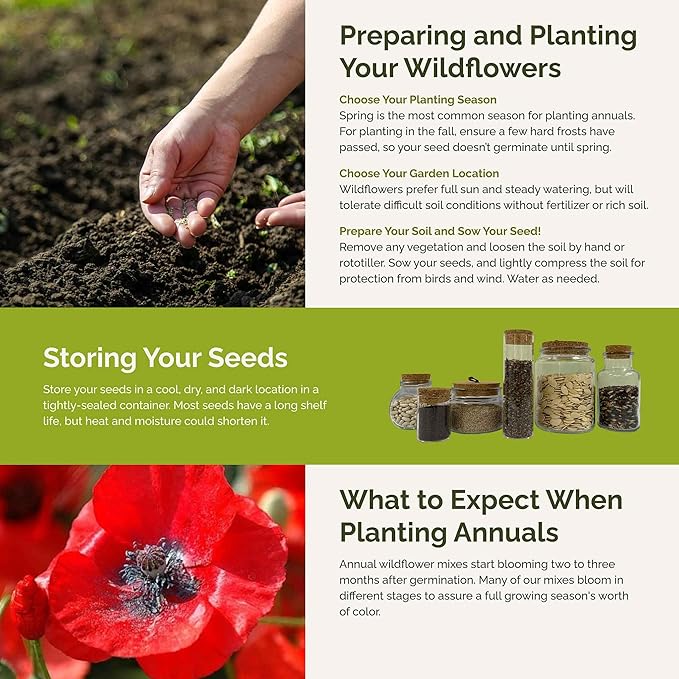 Eden Brothers Field of Dreams Flower Mixed Seeds for Planting, 5 lb, 2,400,000+ Seeds with German Chamomile, Cornflower | Attracts Pollinators, Plant in Spring or Fall, Zones 3, 4, 5, 6, 7, 8, 9, 10