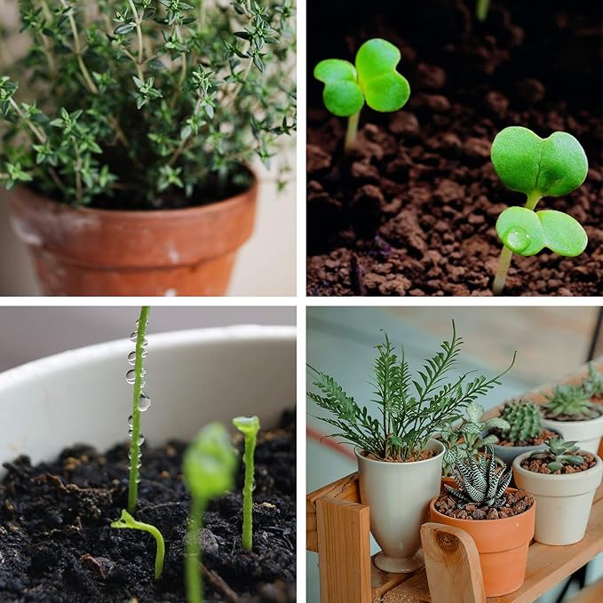 ZeeDix 8 Pcs Premium Coco Coir Brick for Plants, Compressed Coconut Coir 100% Organic Coconut Coir Bricks with Low EC and pH Balance, Coconut Husk Soil Bricks for Gardening Vegetables Plants