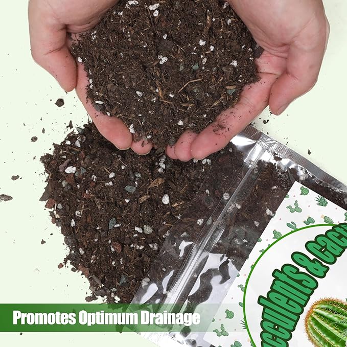Cactus and Succulent Soil Potting Mix 2qt, Well Draining Chunky Soil Mix for Indoor Plants, Gritty Soil for Healthy Indoor Plants - Spike & Bloom