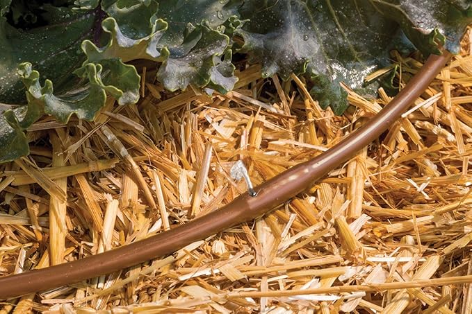 Rain Bird ET25-50S2 Drip Irrigation Pressure Compensating 1/4" Emitter Tubing, 12" Emitter Spacing, 50' Roll, Brown