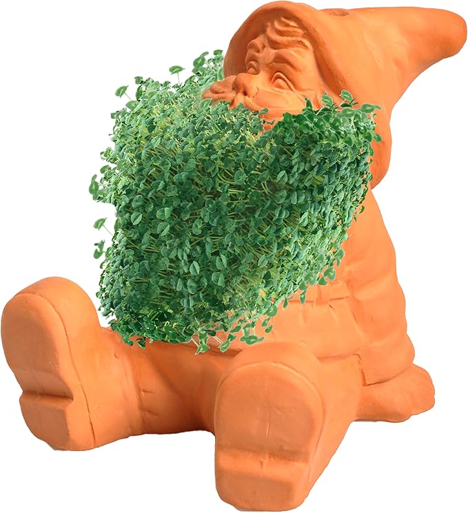 Chia Pet Gnome with Seed Pack, Decorative Pottery Planter, Easy to Do and Fun to Grow, Novelty Gift, Perfect for Any Occasion
