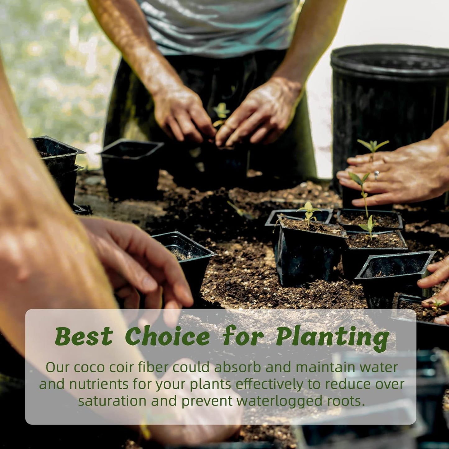 Coco Coir Brick for Plants, 24 Packs 100% Natural Organic Compressed Coconut Coir Fiber with Low EC & PH Balance, High Nutrition Coconut Soil Coco Fiber for Planting, Herbs