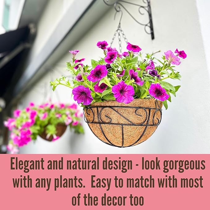 LaLaGreen Hanging Planter for Outdoor Plants (2 Pack, 16 Inch) Hanging Baskets with Coco Liner, Metal Wire Flower Basket Pots with Hook Hanger Balcony Porch Farmhouse Country Style Garden Decor
